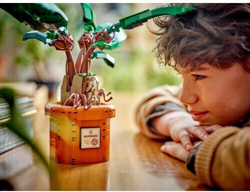 LEGO Harry Potter Mandrake for 10+ Years 579 Pieces