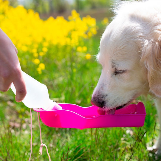 Tragbarer Hundetrinker Grün