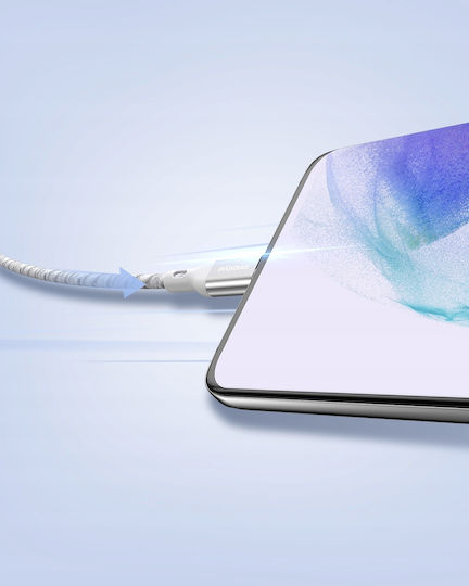 Samsung USB 2.0 Cable USB-C male - USB-C 60W Ασημί 2m ICC150ALSLV