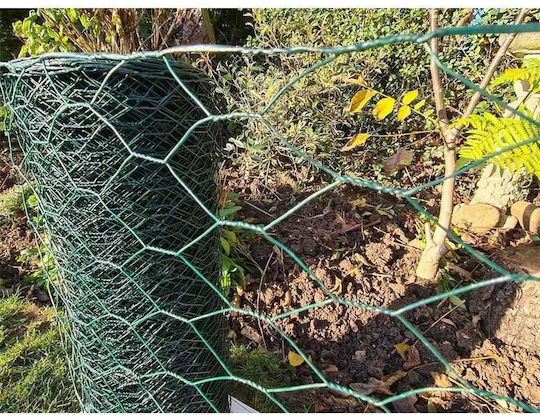Strend Pro Drahtgeflecht Grün 1m