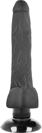 Dream Love Basecock Realistic Vibrator Ρεαλιστικός Δονητής 18.5cm Flesh