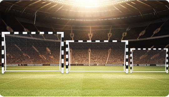 NEO Sport Poartă Fotbal 300x160x90cm