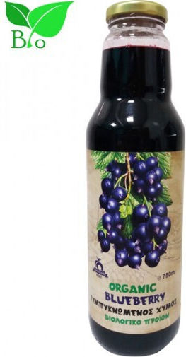 HealthTrade Συμπυκνωμένος Χυμός Blueberry Blueberry Χωρίς Προσθήκη Ζάχαρης 750ml 5200700808387