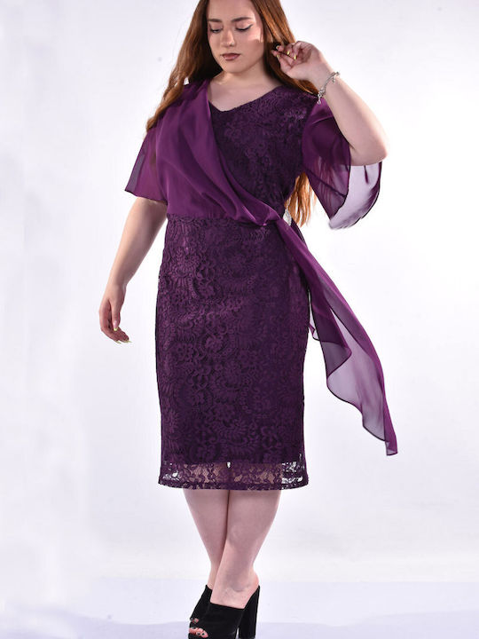 Karina Rochie purple