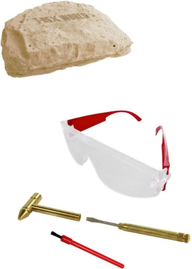Die Spiegelburg Ανασκαφή Educational Game Dinosaur Excavation