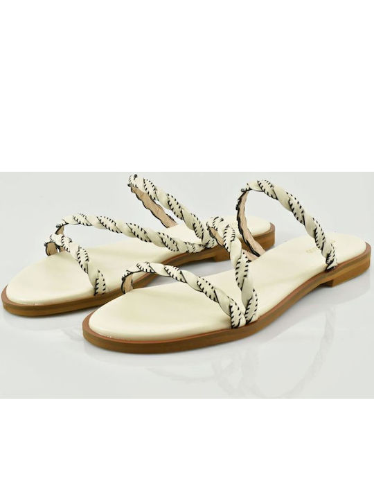 Envie Shoes Envie Shoes