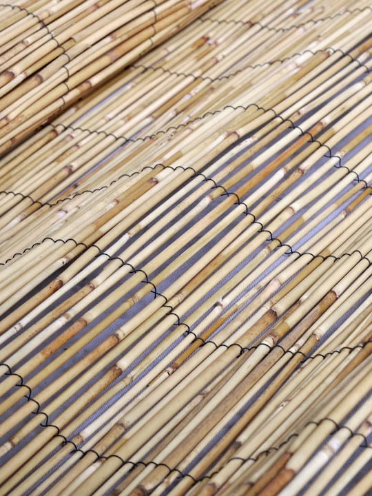 vidaXL Bamboo Fencing with Whole Reed Bamboo 90x300cm