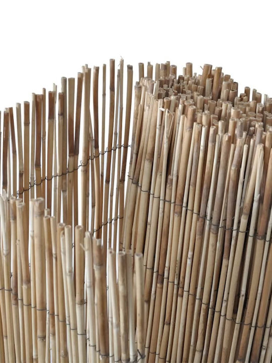 vidaXL Bamboo Fencing with Whole Reed Bamboo 80x600cm