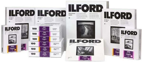 Ilford MG RC DL 1M 13x18 Darkroom Paper HAR1179848