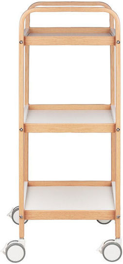Beauty Roll Hair Salon Maintenance Cart