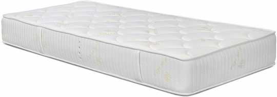 Elatirio Strom Star Einzel Orthopädisch Matratze Schaum 90x200x22cm mit Aloe Vera