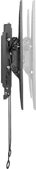 Stell Accessories SHO 3630 Βάση Τηλεόρασης Τοίχου έως 70kg