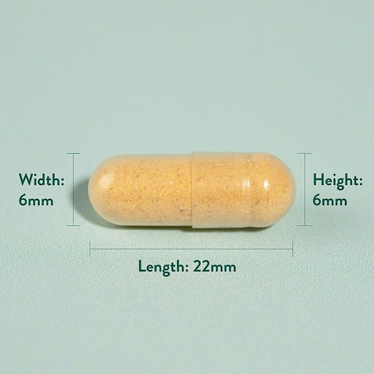 Holland & Barrett Куркума 500мг 240 капси Turmeric