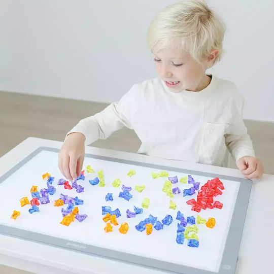 Miniland Lernspiel Wissen