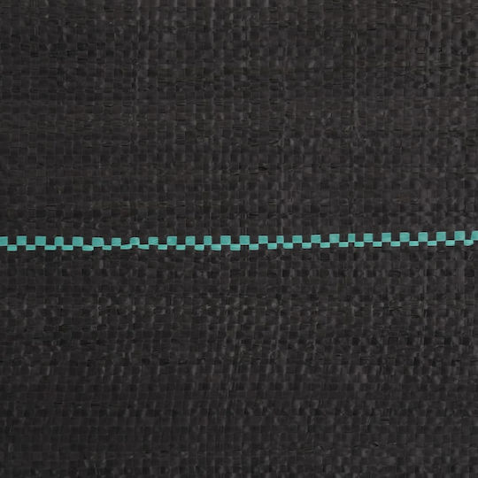 vidaXL 4005141 Ground Cover Fabric 0.5x150m Black