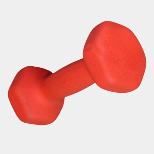 MotivationPro Gantera 1 x 2.5kg