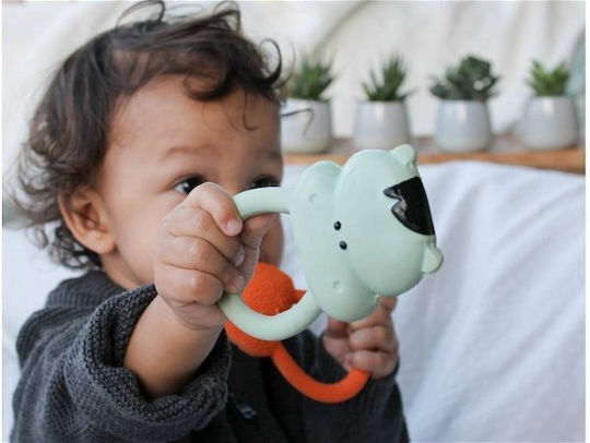 Lanco Lanco Hippo Teether Μασητικός Κρίκος Οδοντοφυΐας από Καουτσούκ