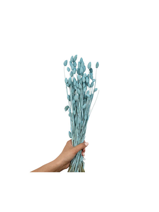 Dried Plant Grass Blue 1pcs