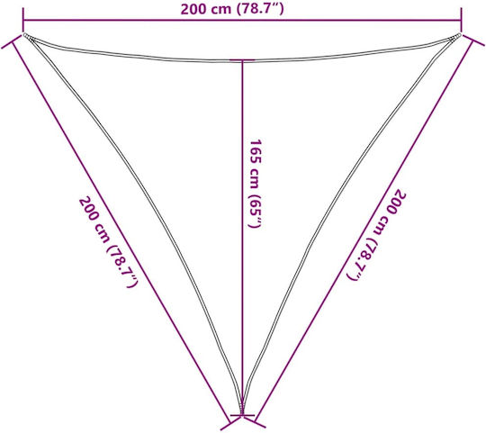 vidaXL Triangle Shade Sail Black with PU Coating 2x2m
