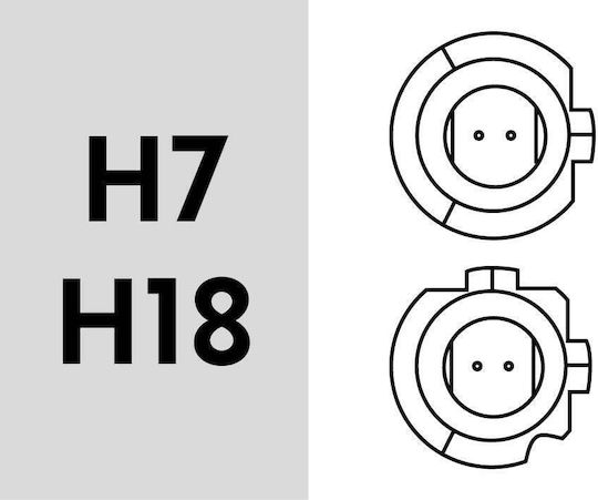 LM Digital Λάμπες Αυτοκινήτου H7 LED 12V 2τμχ