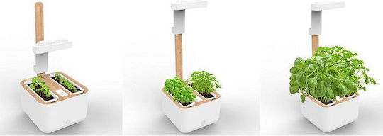 Veritable Autonomous Home Garden Botaneo Eylo Jar Plastic 17.5x18.5x46cm.