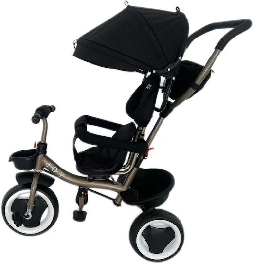 Joy Convertible with Parental Handle for 1.5+ Years Black
