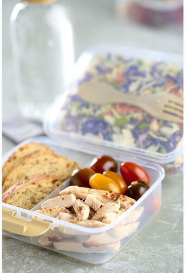 Day Plastic Food Container Fork Transparent-Yellow 18 5×14 5x9cm 77913 Sch77913y