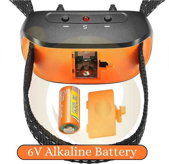 Dog Training Shock Collar Anti Barking Orange