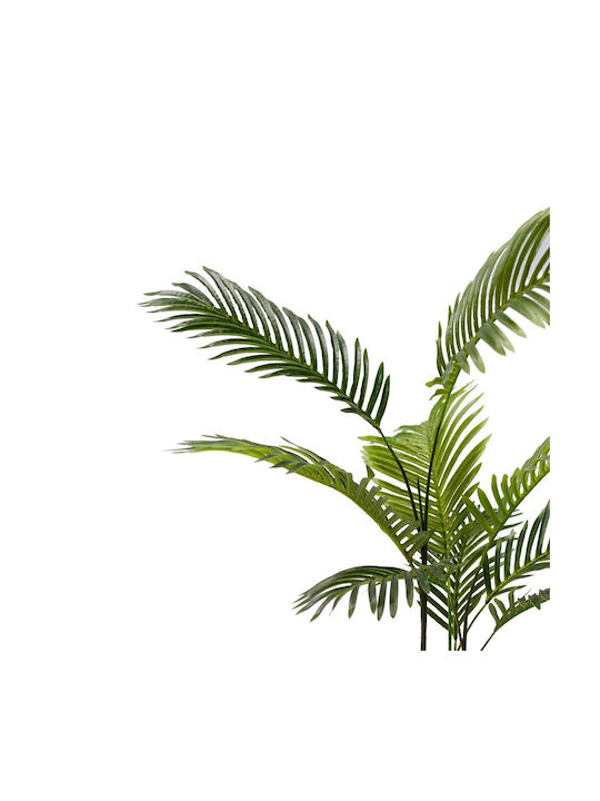 Areca-Palme in Topfpflanze 80cm Inart