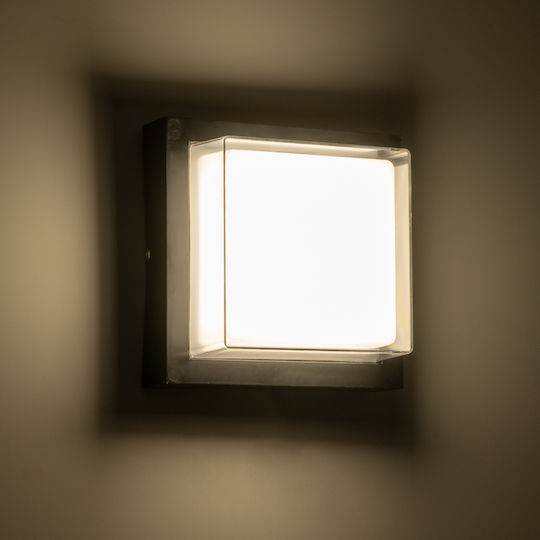 GloboStar Nexus Square Επιτοίχια Εξωτερική Πλαφονιέρα LED IP65 10W με Φυσικό Λευκό Φως 17x17x9εκ.