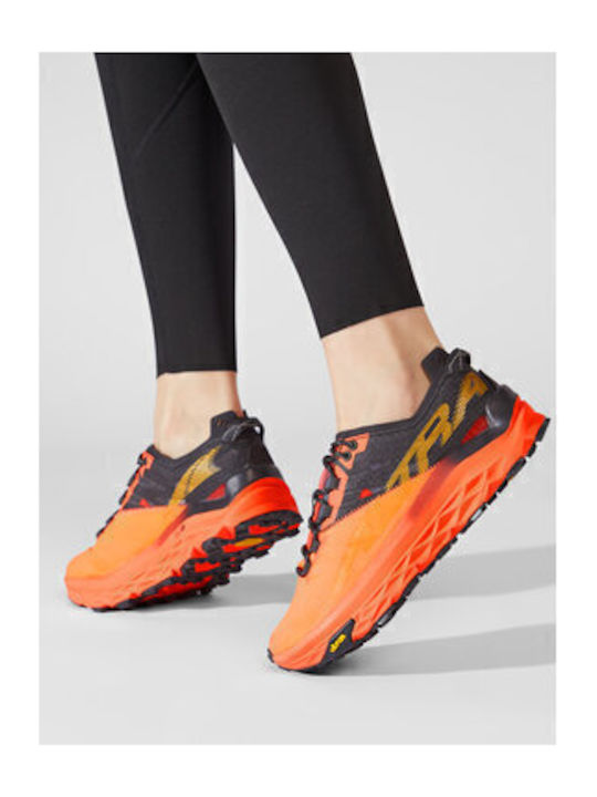 Altra