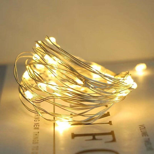 100 Светлини LED 10m. Топъл бял USB тип Лента 1бр
