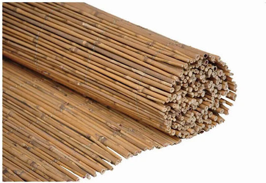 Sidirela Bamboo Fencing with Whole Reed 2x3m