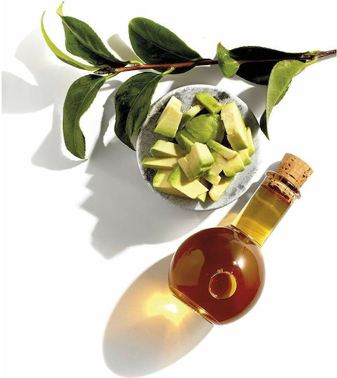 Garnier Nutrisse Βαφή Μαλλιών 6,41 Marron Intenso 100ml