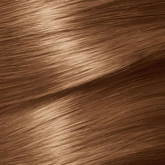 Garnier Nutrisse Βαφή Μαλλιών 6,41 Marron Intenso 100ml