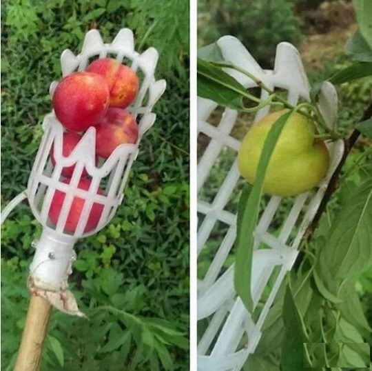 Χτένα Συγκομιδής