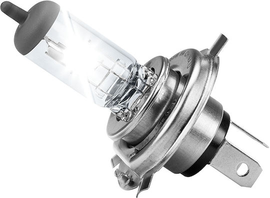 Alca Lămpi Autoturismului H4 Halogen Alb cald 12V 60W