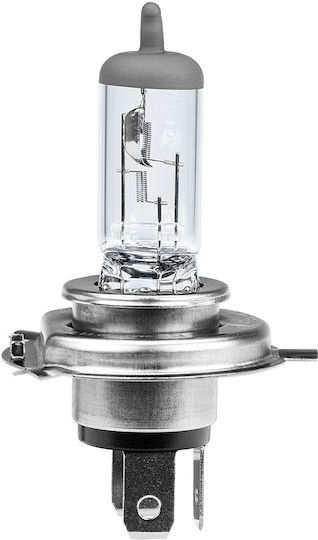 Alca Lămpi Autoturismului H4 Halogen Alb cald 12V 60W