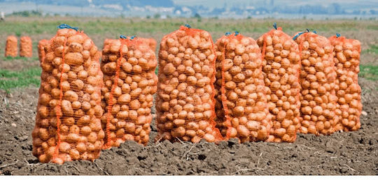Șnur Plastic Sac de recoltare a măslinelor 29x43cm 1 bucăți
