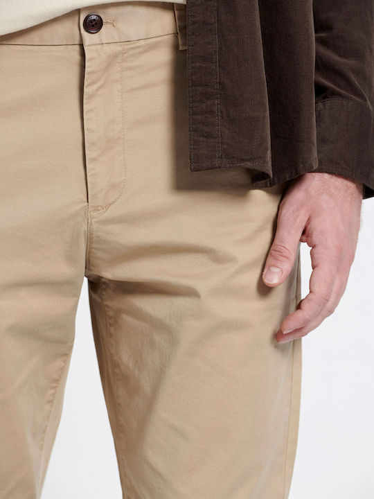 Trousers Chino in Regular Fit