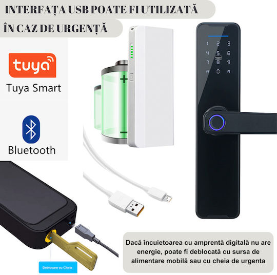 Electronic Lock in color Black with Connectivity Wi-Fi