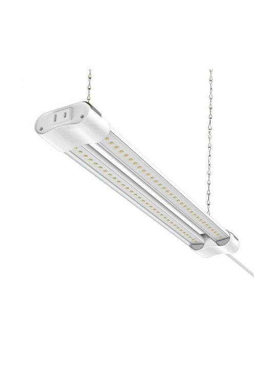 Lămpi Decorative Pentru Masă LED Alb Cald