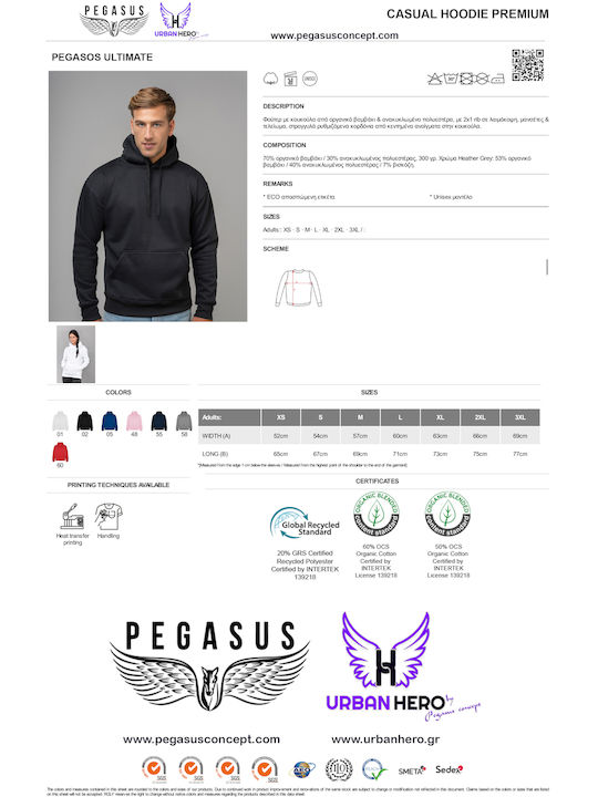 Pegasus Kapuzenpulli Rick und Morty Schwarz