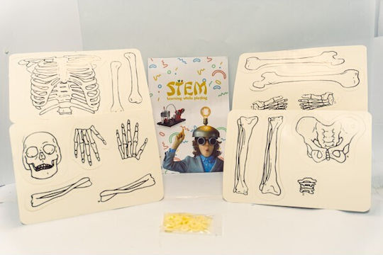 NGS Construction Toy Human Skeleton