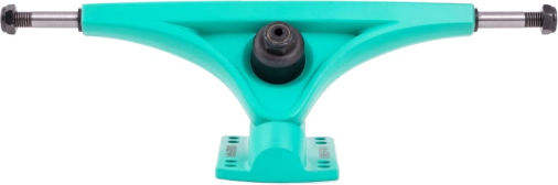 Bear Gen 6 Mint