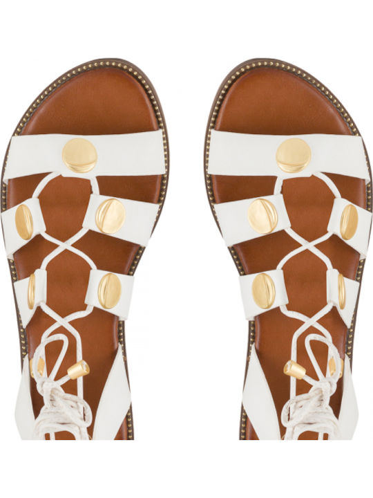 Envie Shoes