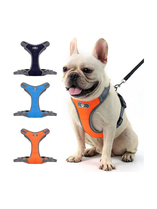 Value Imports Hundegeschirr L128LOR