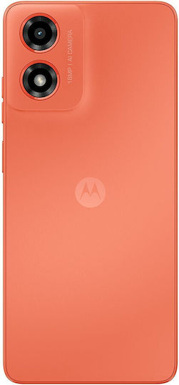 Motorola Moto G04 Dual-SIM (8GB/128GB) Sonnenaufgang Orange