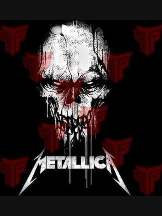 Adult Hooded Sweatshirt Takeposition Z-cool Metallica Rage Black 908-7506b-02