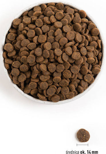 bett mit integriertem hundebett Green Cocoon Hundebett - Gedecktes, kuscheliges & beruhigendes Bett für  alle Rassen